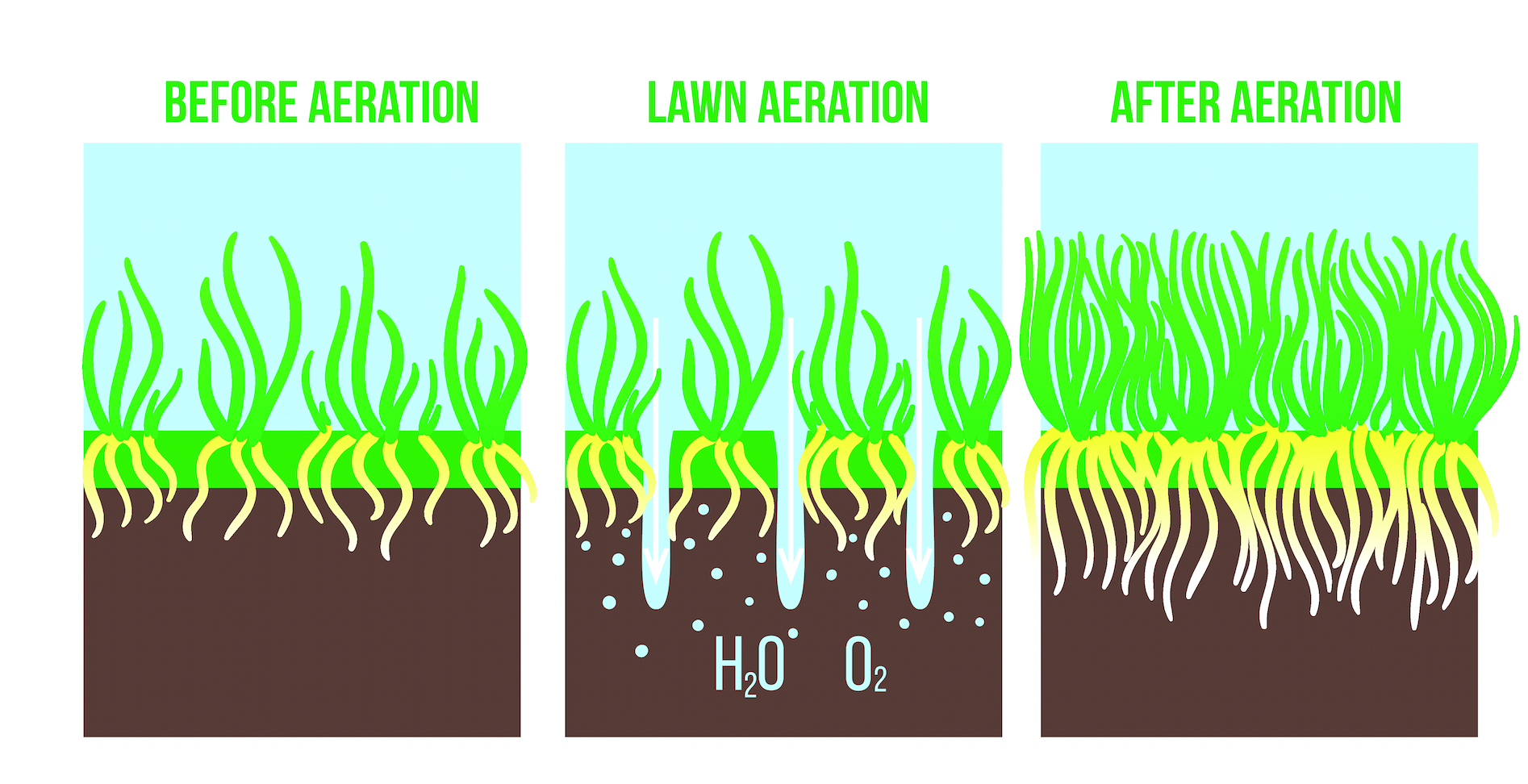 Lawn Coring and Aeration Service Brisbane Northside